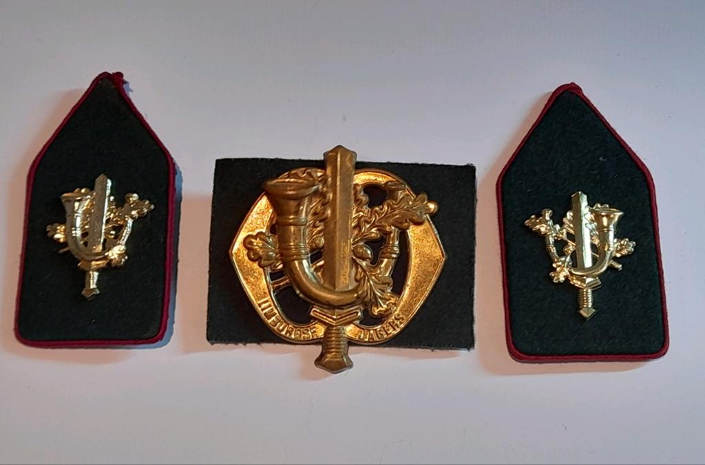 Compleet setje regiment Limburgse jagers, Ophalen of Verzenden, Landmacht, Nederland, Embleem of Badge