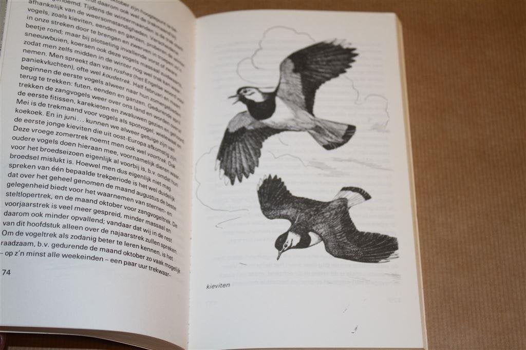 Vogels leren kennen. Hugh P. Gallacher., Ophalen of Verzenden, Gelezen, Vogels