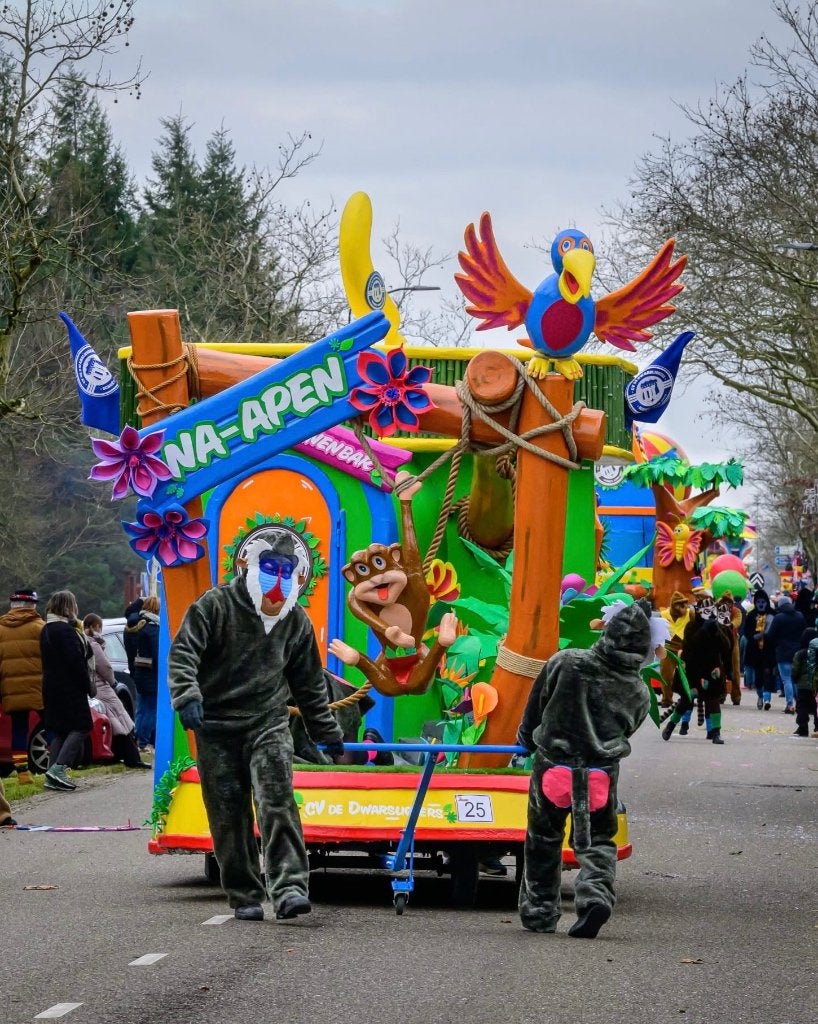 Carnavalswagen/loopgroep thema apen / jungle, Ophalen, Gebruikt, Feestartikel, Carnaval