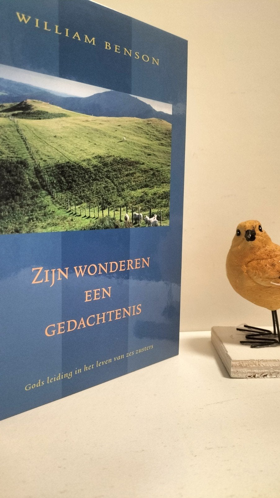 Benson, William; Zijn wonderen een gedachtenis, Boeken, Ophalen of Verzenden, Gelezen, Christendom | Protestants