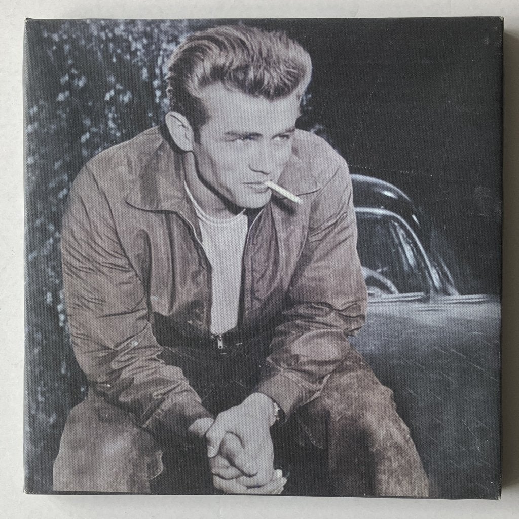 Portret James Dean op canvasdoek {5967}, Ophalen of Verzenden, Voor 1940, Gebruikt, Overige onderwerpen