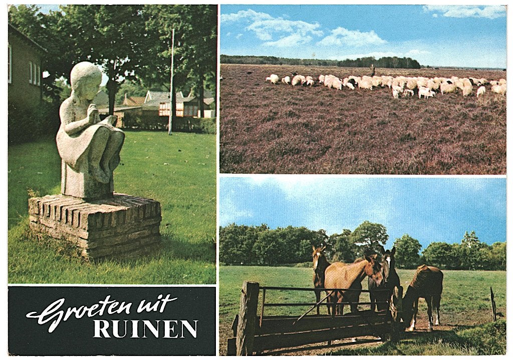 805358 Ruinen Drenthe _Gelopen mooie zegel Broeker Veiling, Ophalen of Verzenden, 1980 tot heden, Gelopen, Drenthe