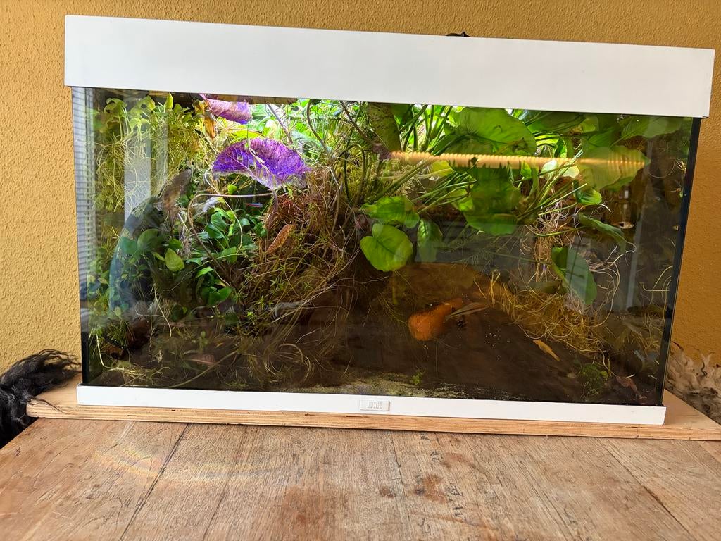 Juwel 125 liter aquarium, Ophalen, Zo goed als nieuw, Leeg aquarium