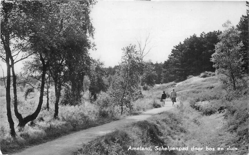 381-483-015 Ameland Schelpenpad, Verzenden, Voor 1920, Friesland