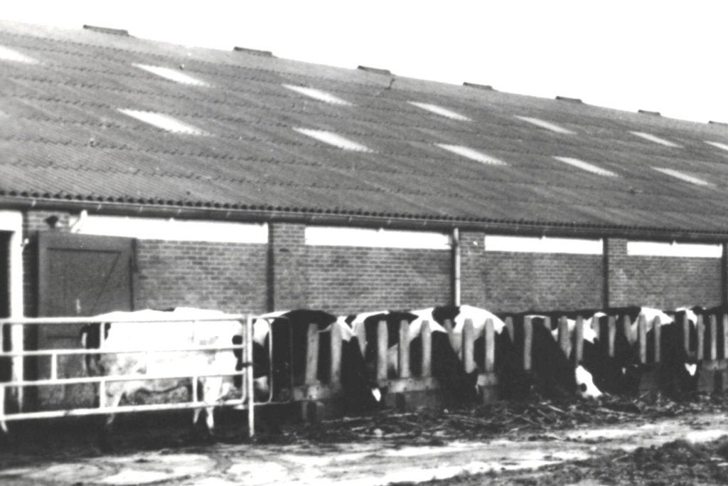 804507	Spijk	Gr 1968 Eemshoeve	Nette oud kaart Onbeschreven, Ophalen of Verzenden, 1960 tot 1980, Ongelopen, Groningen