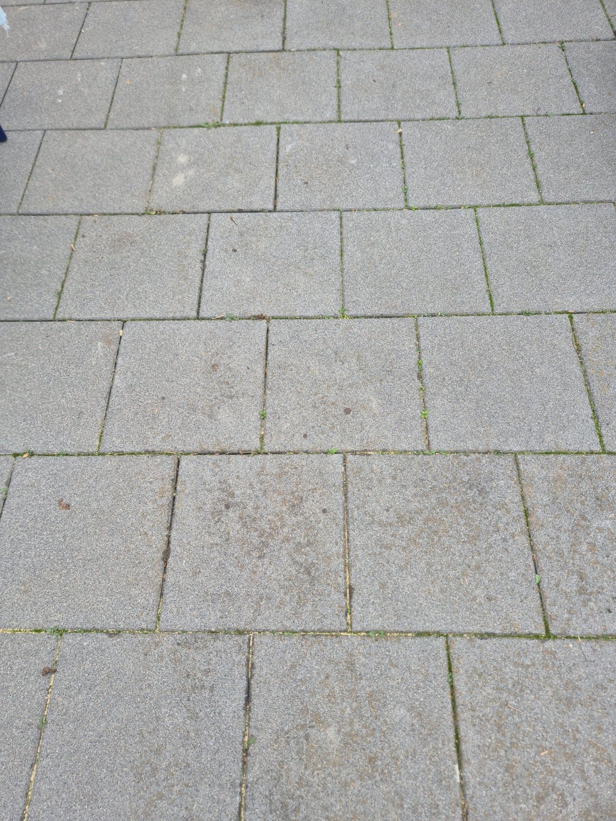 28m2  tegels 40x40cm - gratis afhalen, Ophalen, 40 tot 60 cm, Gebruikt, 40 tot 60 cm