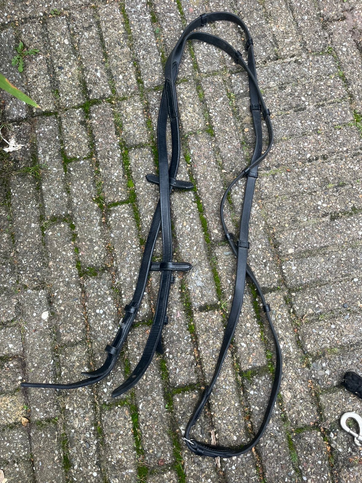 Biotane teugels incl onzichtbare gespen, Ophalen of Verzenden, Zo goed als nieuw, Teugels