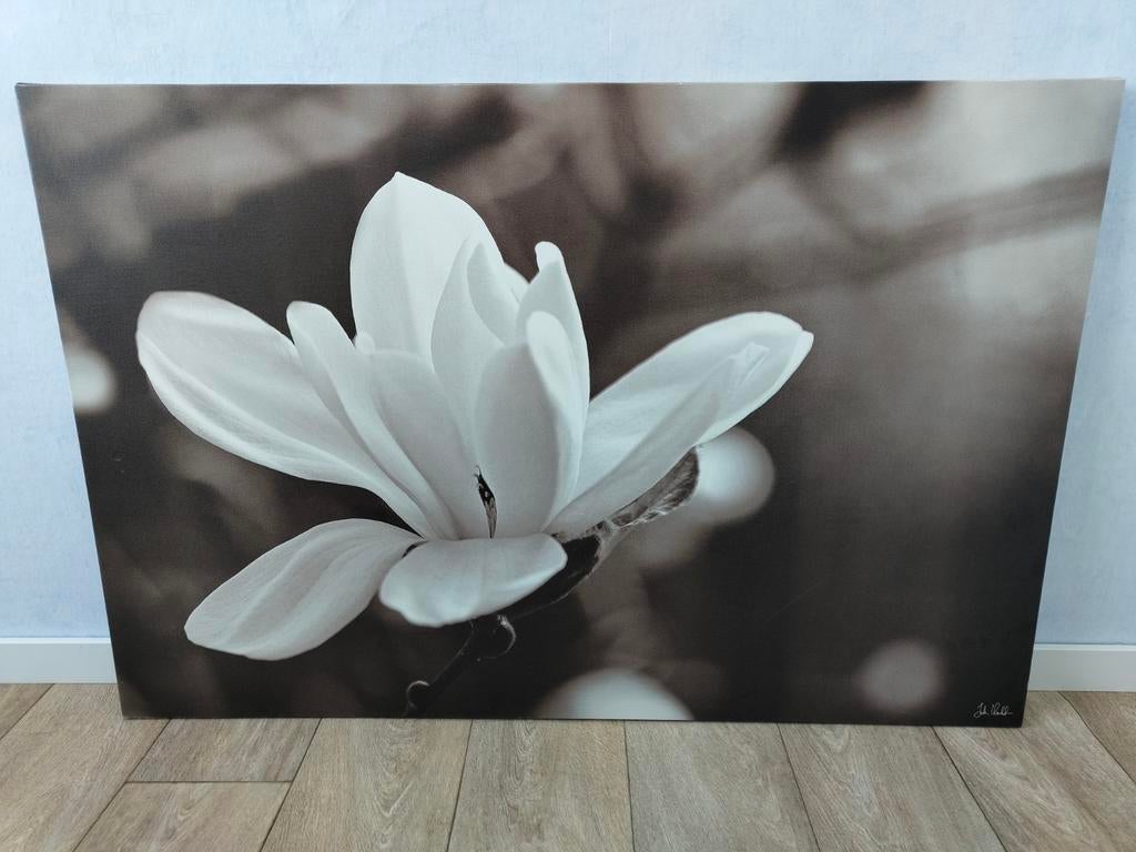 IKEA Pjätteryd Zwartwit Bloem Canvas, Ophalen, Zo goed als nieuw, 100 tot 125 cm, Foto of Poster