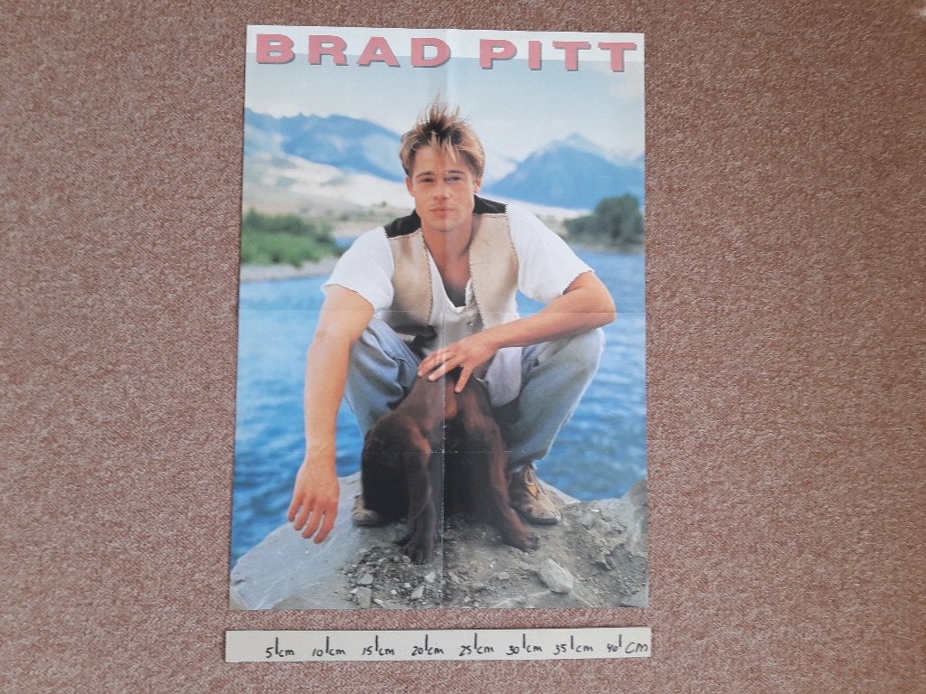 Poster Film Brad Pitt A2 Final Analysis RichardGere 43x61 cm, Verzamelen, Posters, Rechthoekig Staand, Ophalen of Verzenden, Zo goed als nieuw