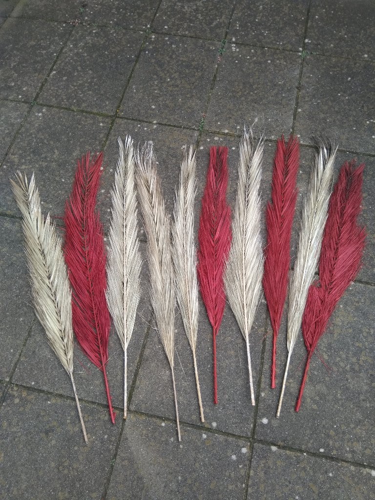 Kunst pluimen, Ophalen, Zo goed als nieuw, 100 cm