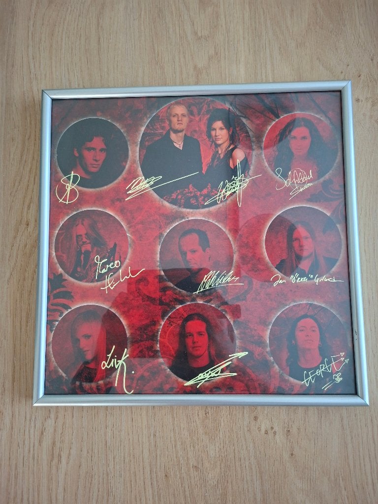Delain Lucidity gesigneerde promotieposter, Ophalen of Verzenden, Gebruikt, Poster, Artwork of Schilderij, Gesigneerd