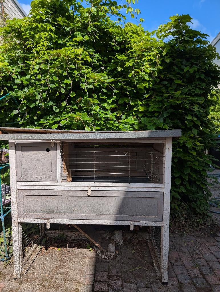GRATIS: Konijnenhok, Ophalen, 90 cm of meer, Konijn, Hok