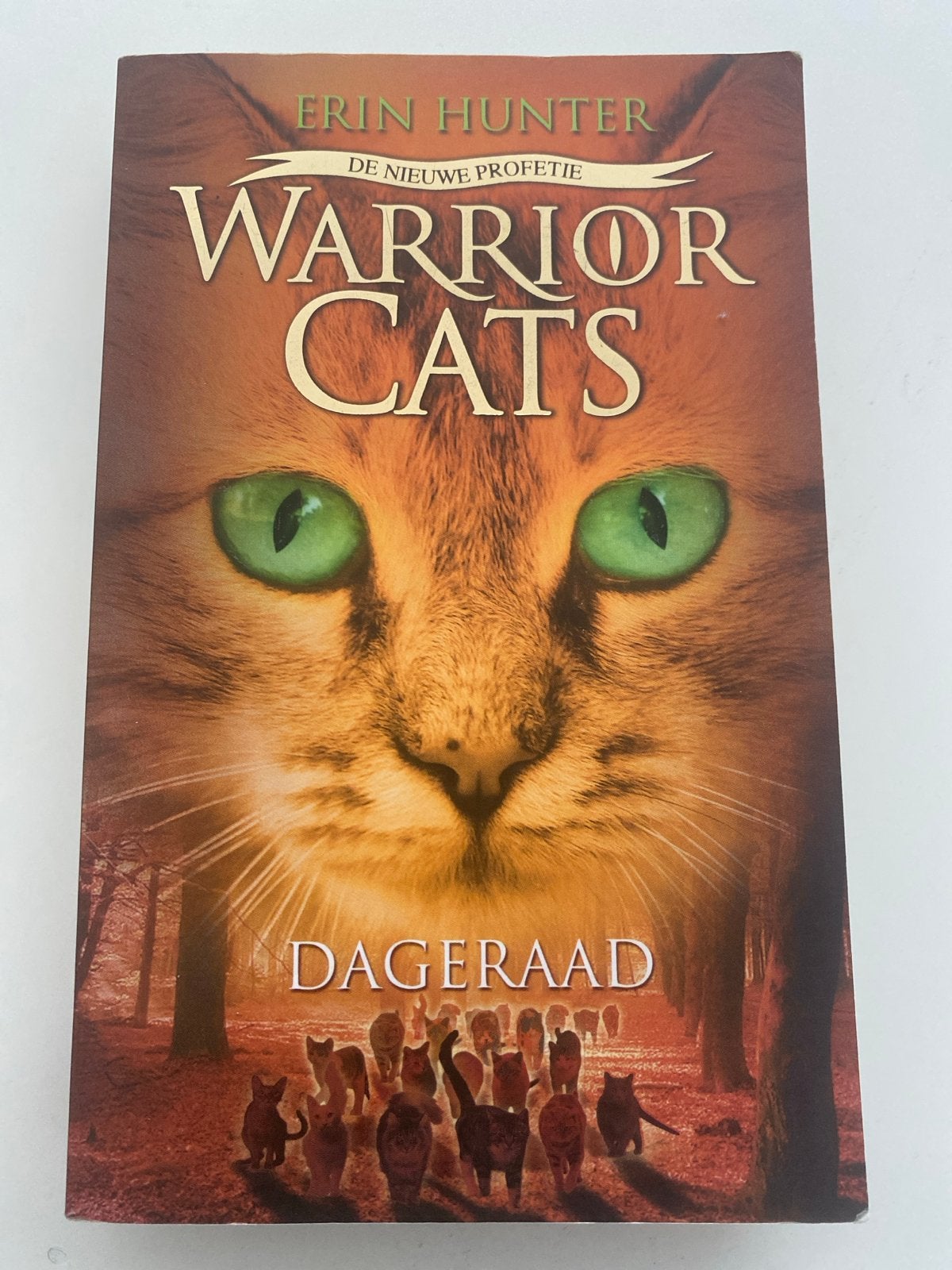 Warrior Cats: De Nieuwe Profetie - Dageraad (Erin Hunter), Boeken, Ophalen, Zo goed als nieuw