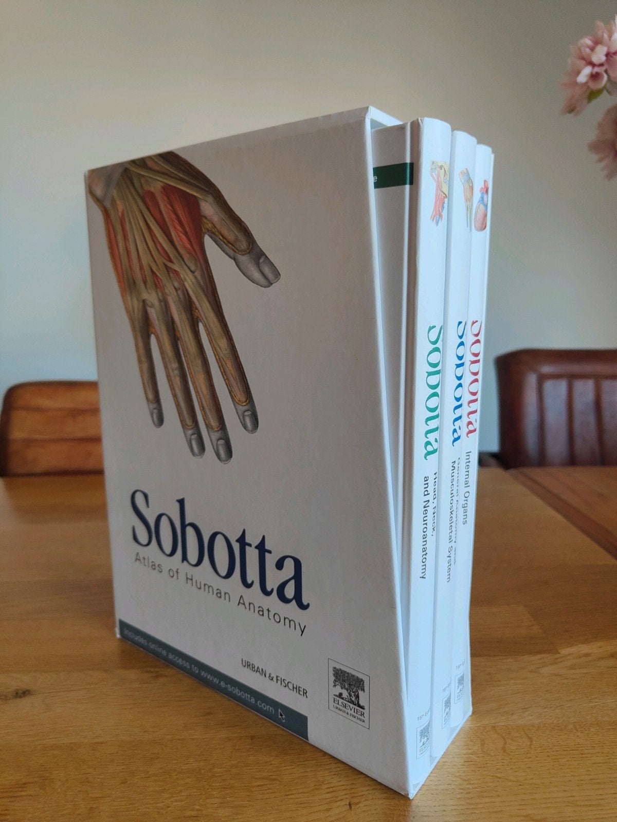 Sobotta Atlas of Human Anatomy - Complete Set (3-delig), Ophalen of Verzenden, F. Paulsen en J. Waschke, Beta, WO