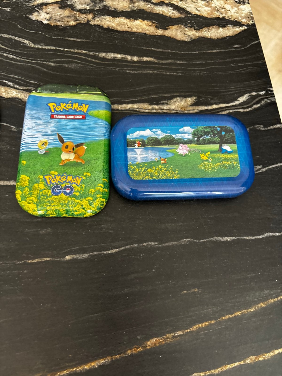 Pokémon Go TCG blikken en sleeves, Hobby en Vrije tijd, Verzamelkaartspellen | Pokémon, Ophalen, Gebruikt, Sleeves of Kaarthoesjes