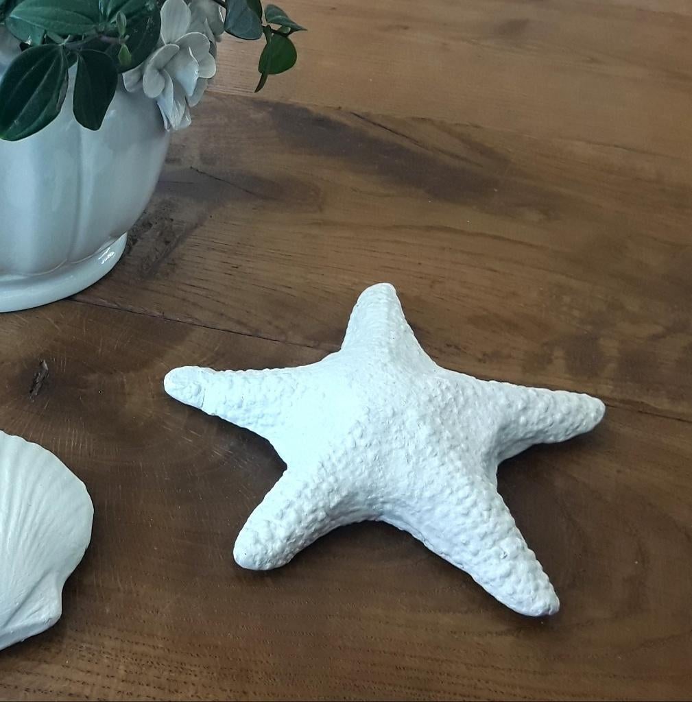 Betonnen zeester voor decoratie binnen of buiten, Ophalen of Verzenden, Zo goed als nieuw, Wit, Steen/keramiek