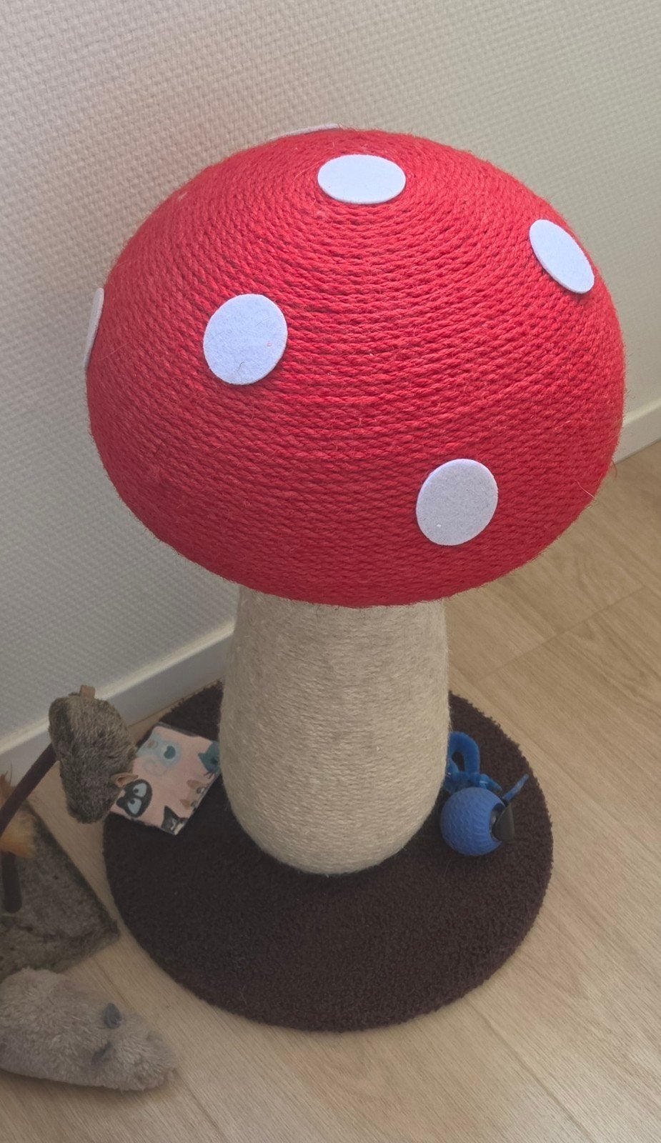 Krabpaal paddestoel, Ophalen