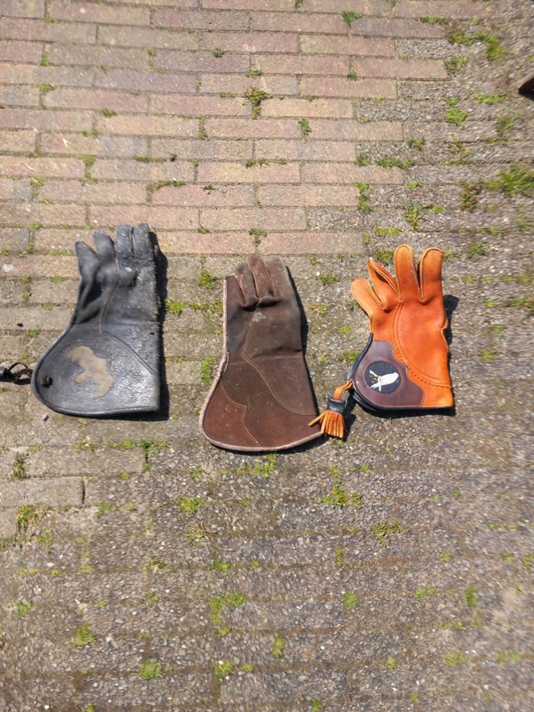 Valkeniers handschoenen, Dieren en Toebehoren, Vogels | Overige Vogels, Meerdere dieren, Wildzangvogel