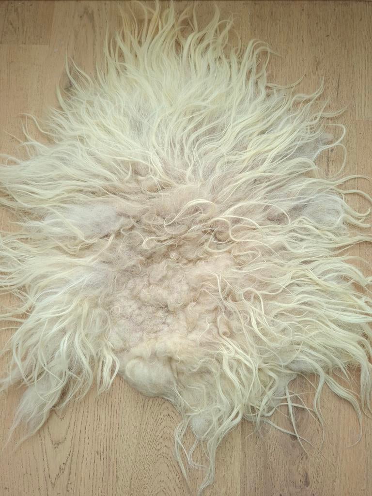 Drents Heideschaap Schapenvacht - Eco Handmatig Gevilt, Crème, 50 tot 100 cm, Natuurlijk, Rustiek, Ecologisch, Nieuw