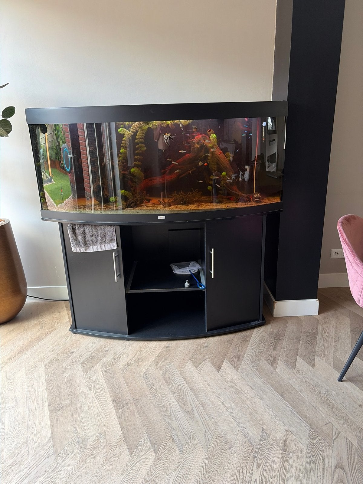 Juwel aquarium 450liter, Ophalen, Zo goed als nieuw, Gevuld zoetwateraquarium