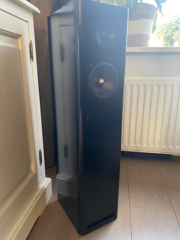 2 x Transmissie lijn luidspreker- ASW Cantius 1.5 - 20kg ps., Zo goed als nieuw, 60 tot 120 watt, Front, Rear of Stereo speakers