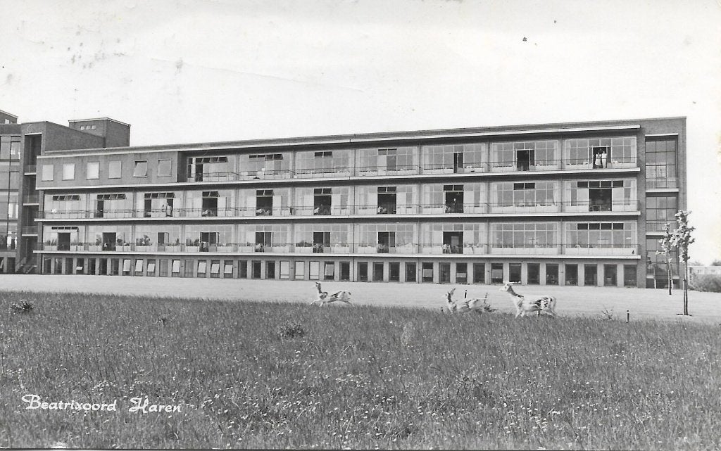 Haren- -Beatrixoord., Verzenden, 1960 tot 1980, Gelopen, Groningen