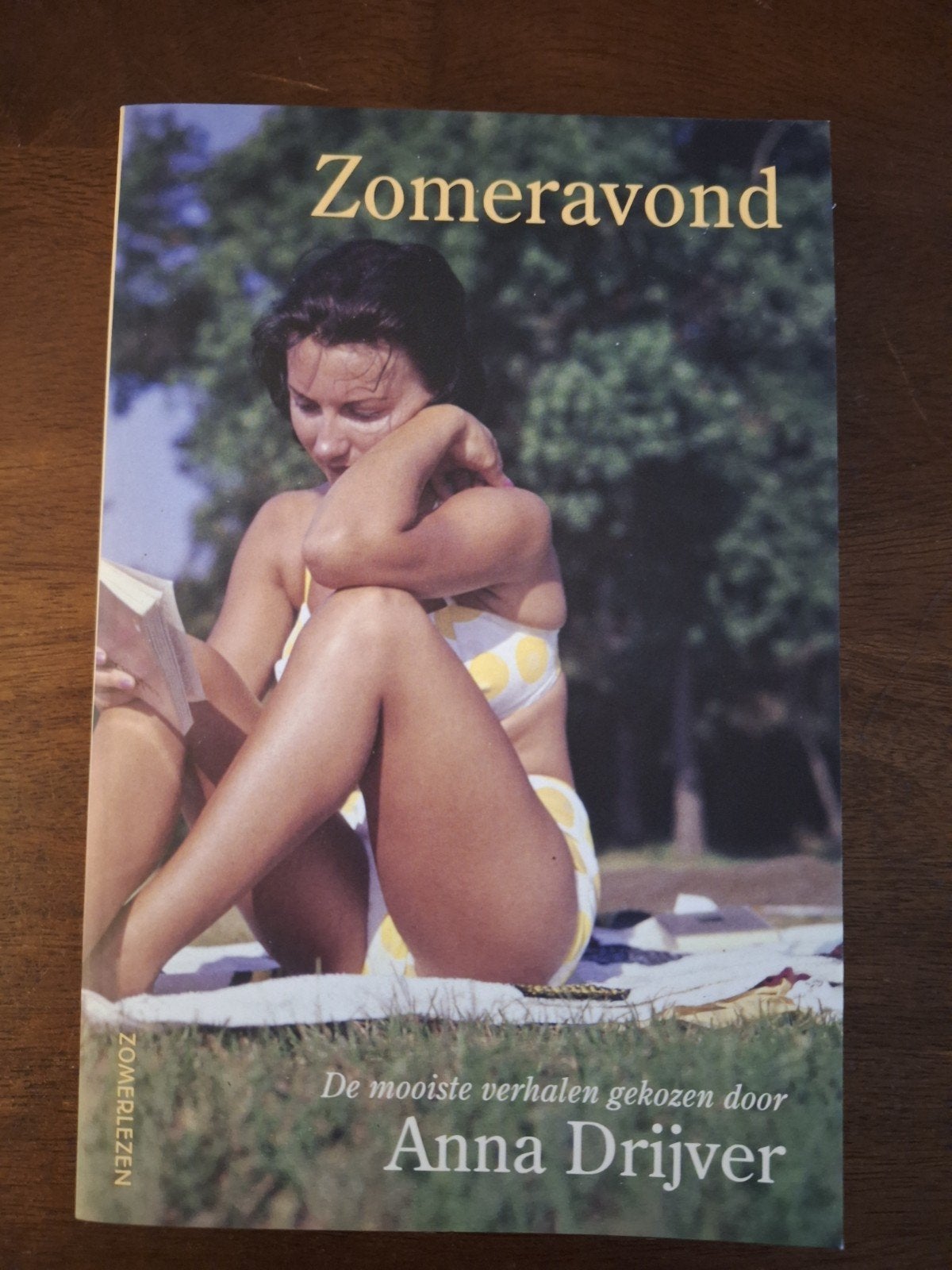 Zomeravond - De mooiste verhalen gekozen door Anna Drijver, Ophalen of Verzenden, Zo goed als nieuw, Anna Drijver, Nederland