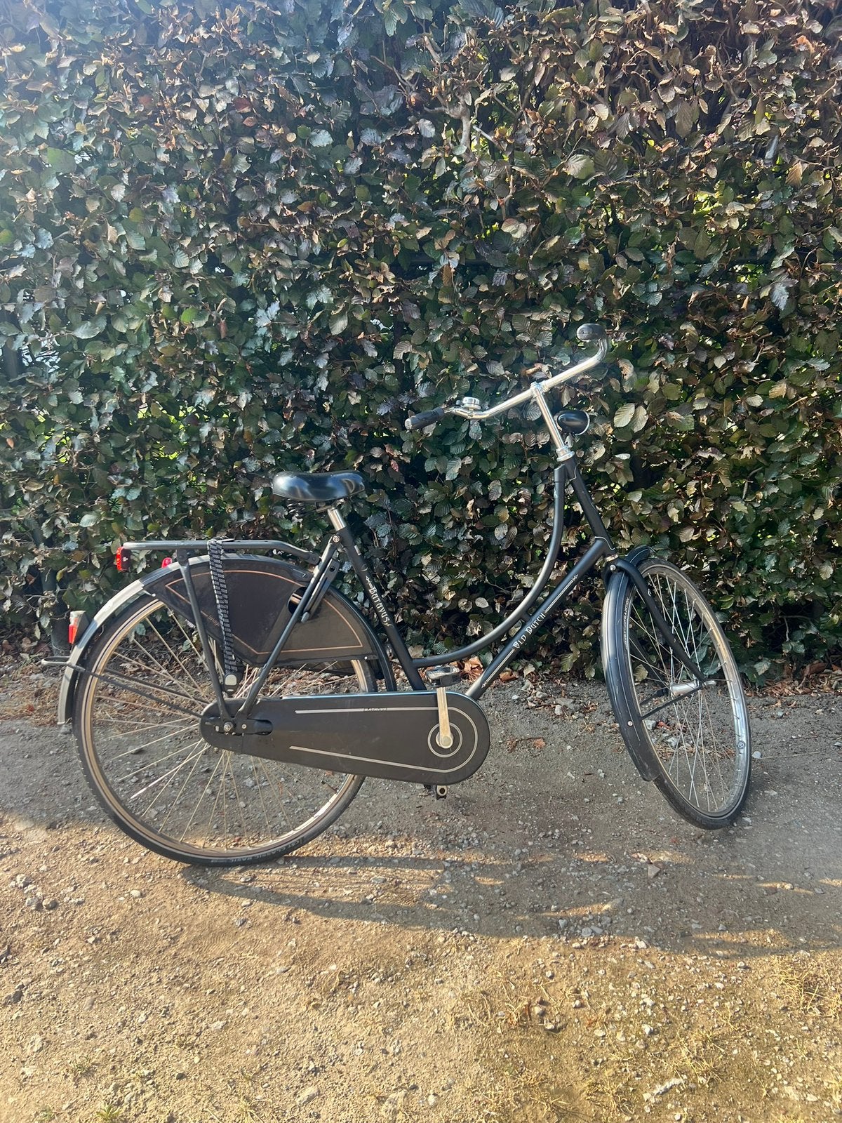 Zwarte omafiets, Ophalen, Gebruikt, Terugtraprem