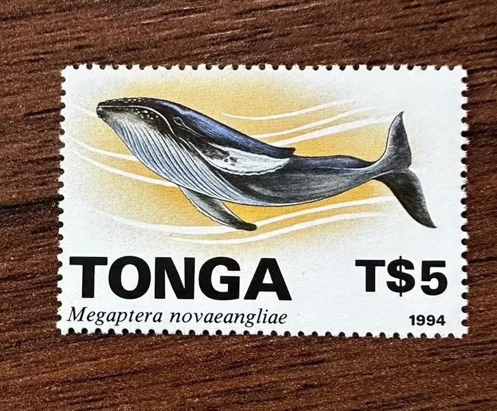 Tonga 1994 walvissen postfris postzegel, Ophalen of Verzenden, Postfris