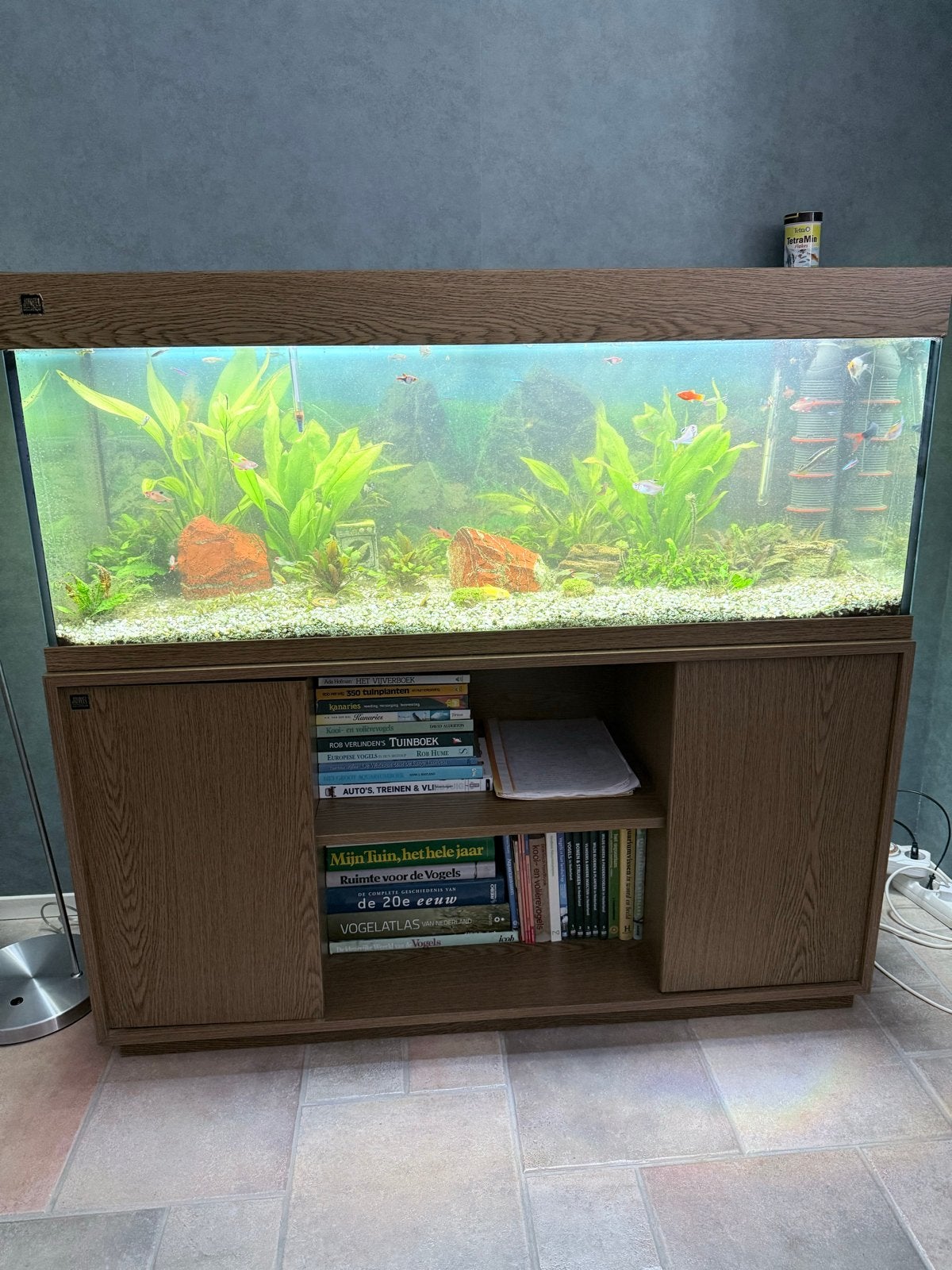 Juwel Aquarium COMPLEET, Ophalen, Inclusief vissen, Juwel, Gevuld zoetwateraquarium