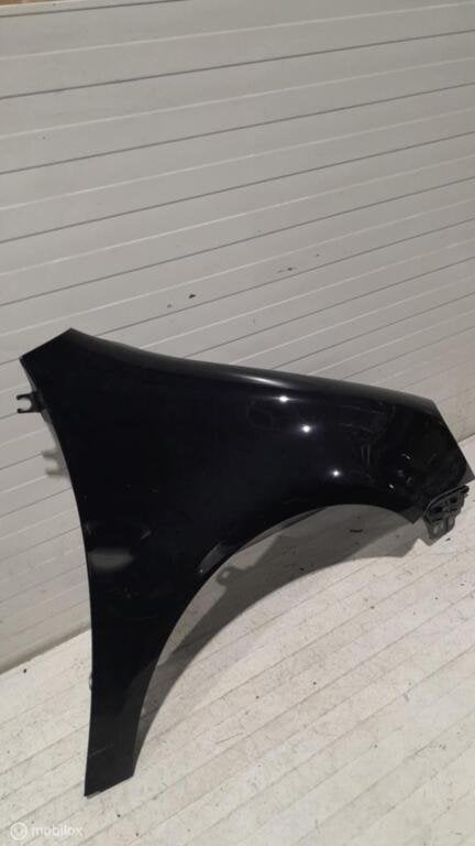 Spatscherm Volkswagen Golf 5, Auto-onderdelen, Gebruikt, Ophalen of Verzenden