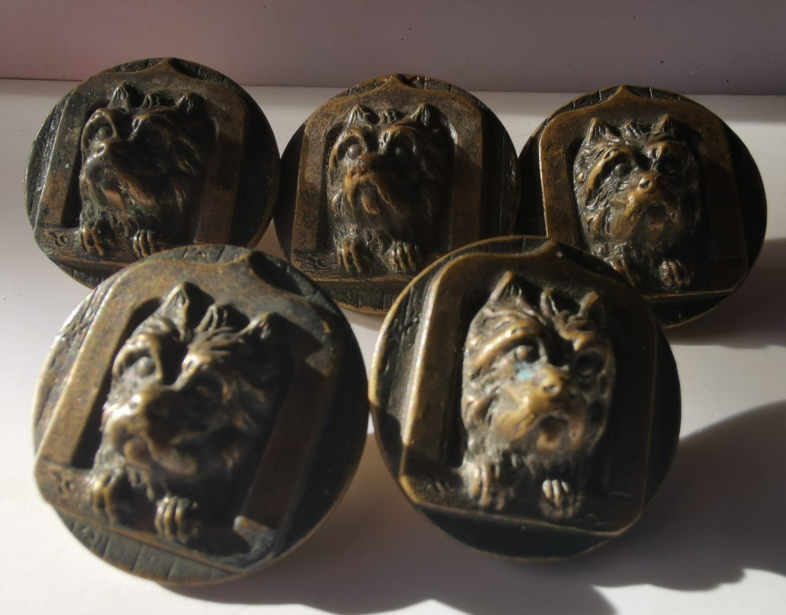 Antieke Victoriaanse Bulldog Knopen - Brons/Koper (5 stuks), Ophalen of Verzenden