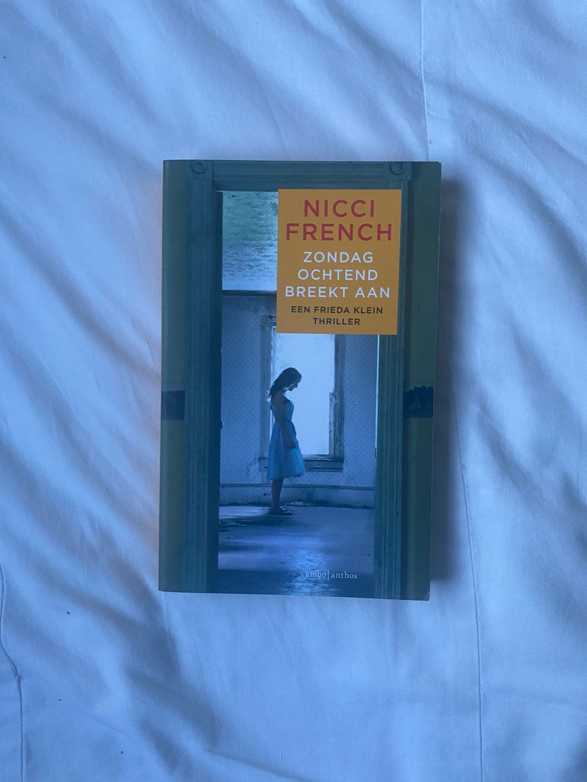 Zondagochtend breekt aan - Nicci French (Frieda Klein thrill, Ophalen of Verzenden, Gelezen