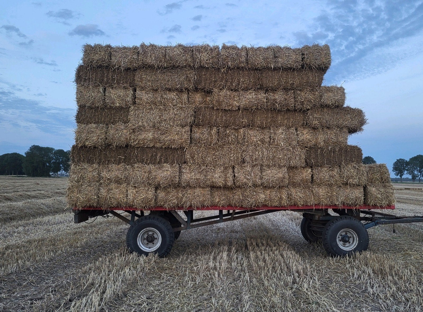 Kleine pakjes stro, Ophalen, Vee