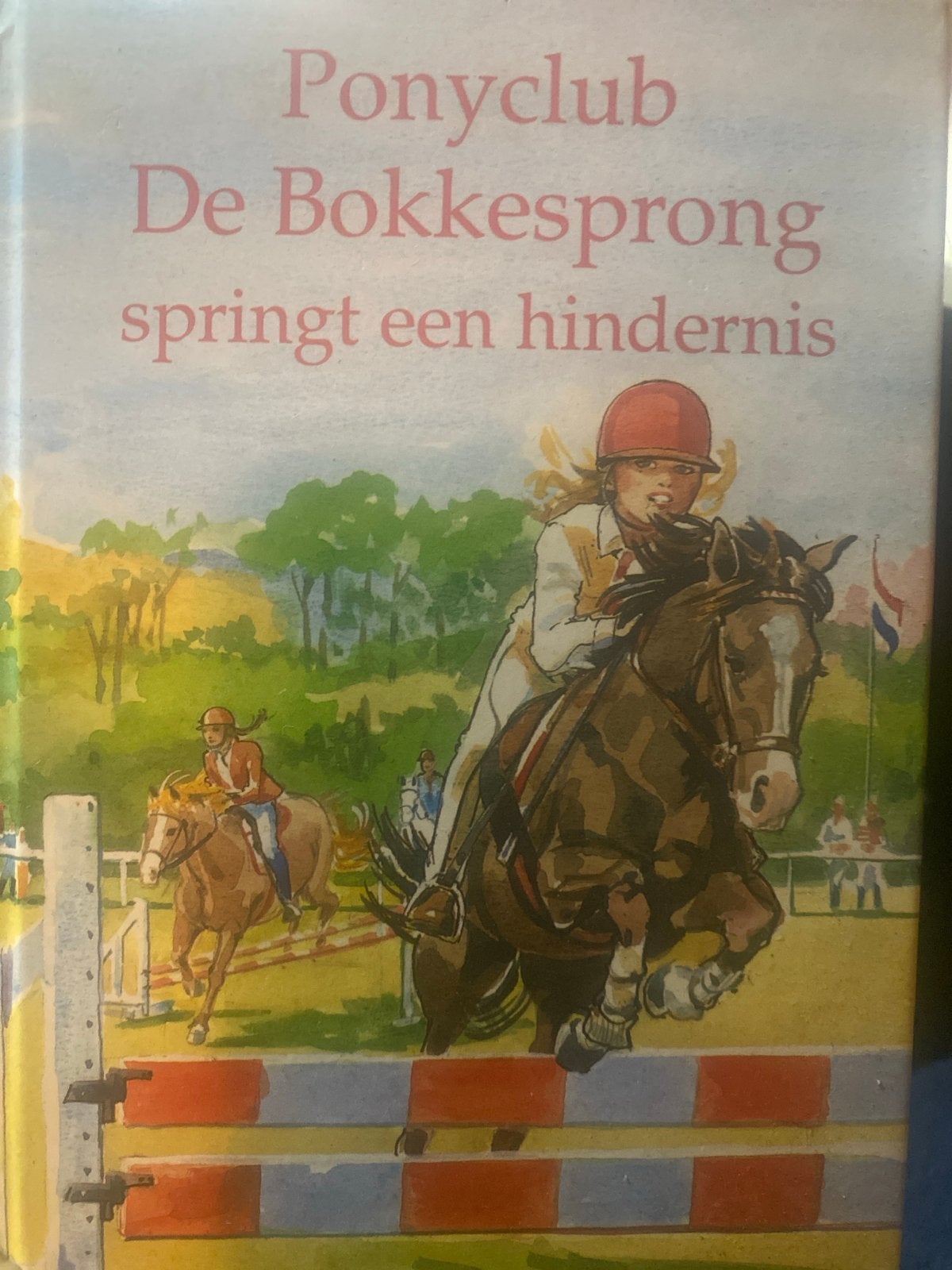 Ponyclub De Bokkesprong springt een hindernis, Ophalen of Verzenden, Gelezen, Fictie algemeen