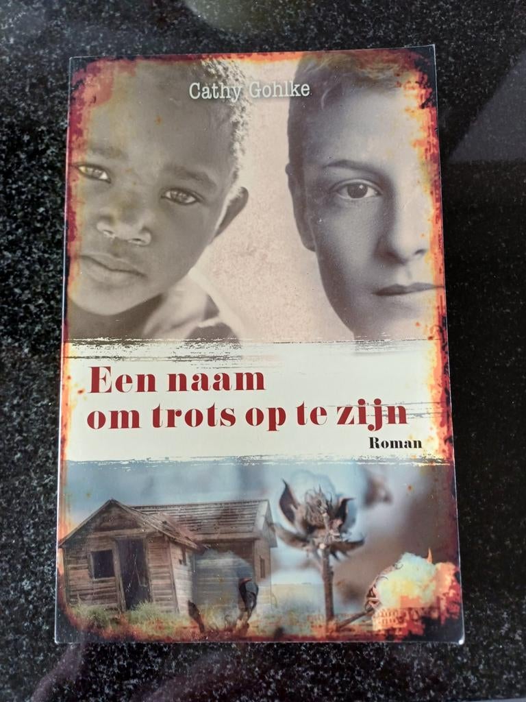 Cathy Gohlke - Een naam om trots op te zijn, Boeken, Cathy Gohlke, Ophalen of Verzenden, Zo goed als nieuw, Amerika