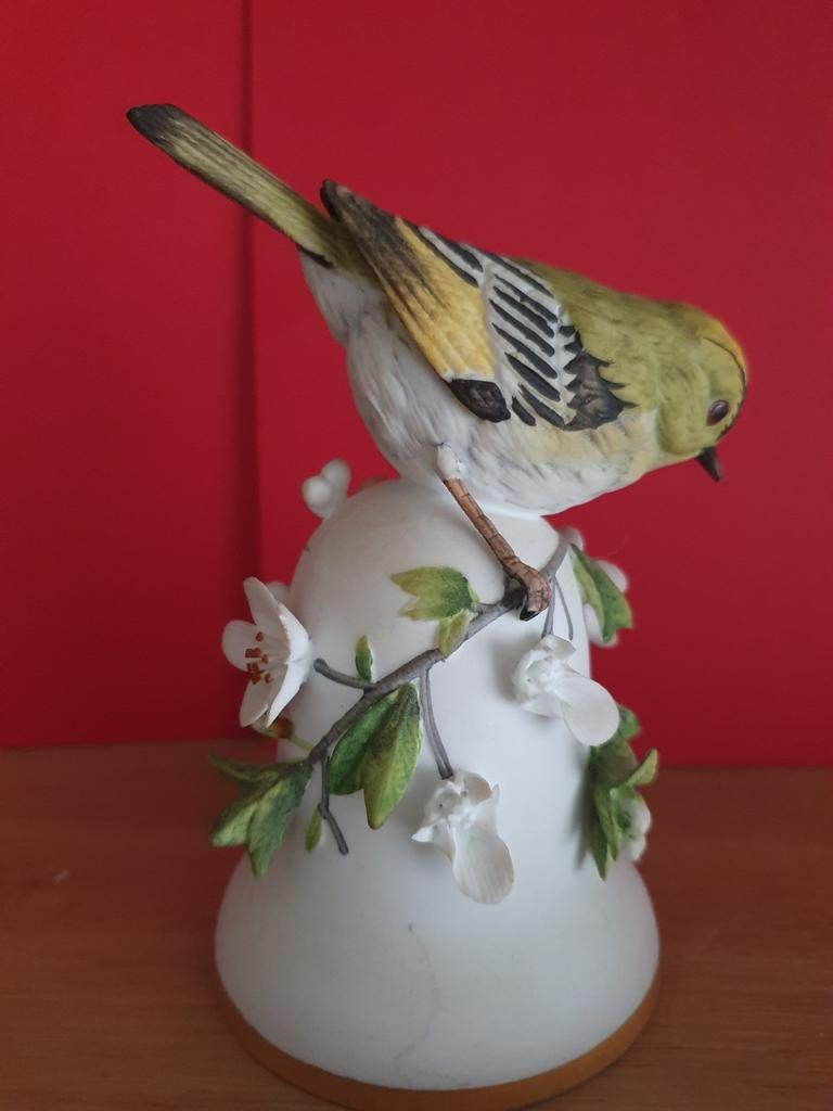 Vogel op bel, Ophalen of Verzenden