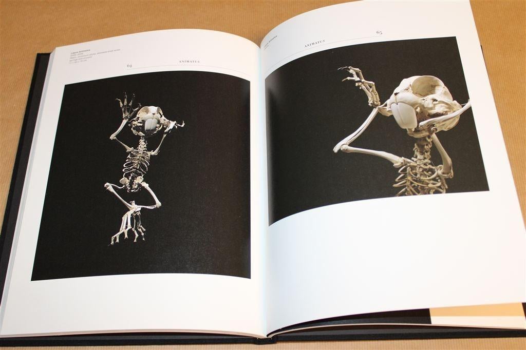 Hyungkoo Lee — The Homo Species [Kunstboek], Ophalen of Verzenden, Gelezen