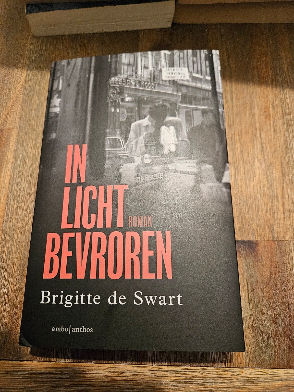 In Licht Bevroren - Brigitte de Swart (Roman), Ophalen of Verzenden, Zo goed als nieuw, Brigitte de Swart, Nederland