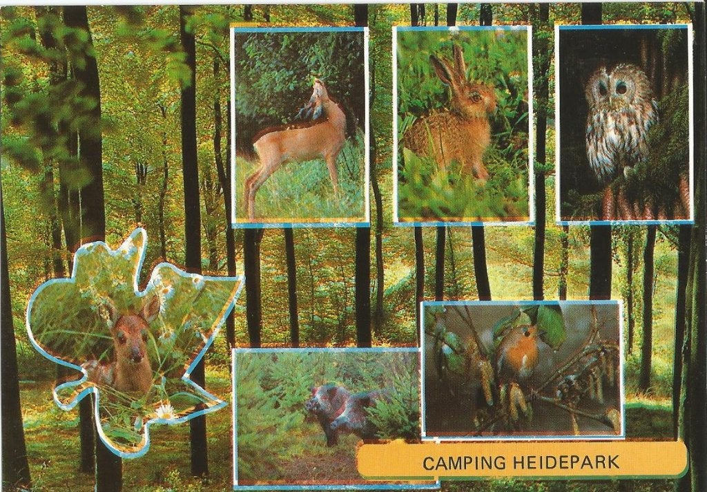 Camping Heidepark, Ophalen of Verzenden, 1960 tot 1980, Ongelopen, Overijssel