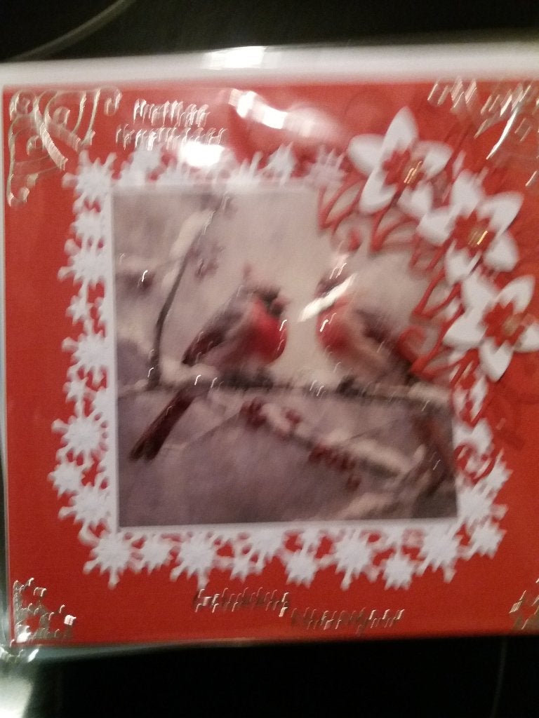 Kerstkaartje met vogeltjes no. 259, Ophalen of Verzenden, Nieuw, Kerst