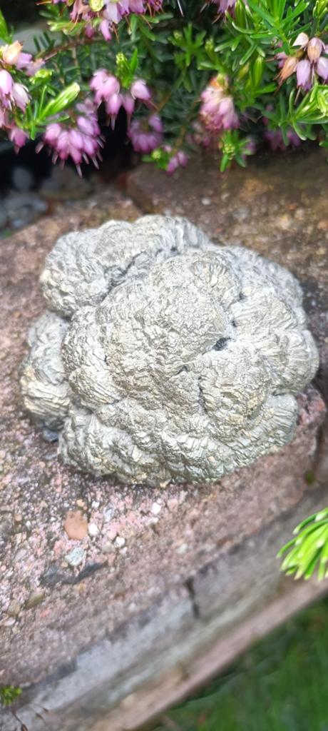 Markasiet knol, Verzamelen, Mineralen en Fossielen, Ophalen of Verzenden