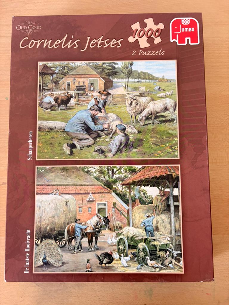 Cornelis Jetses puzzel, Ophalen of Verzenden, 500 t/m 1500 stukjes, Zo goed als nieuw