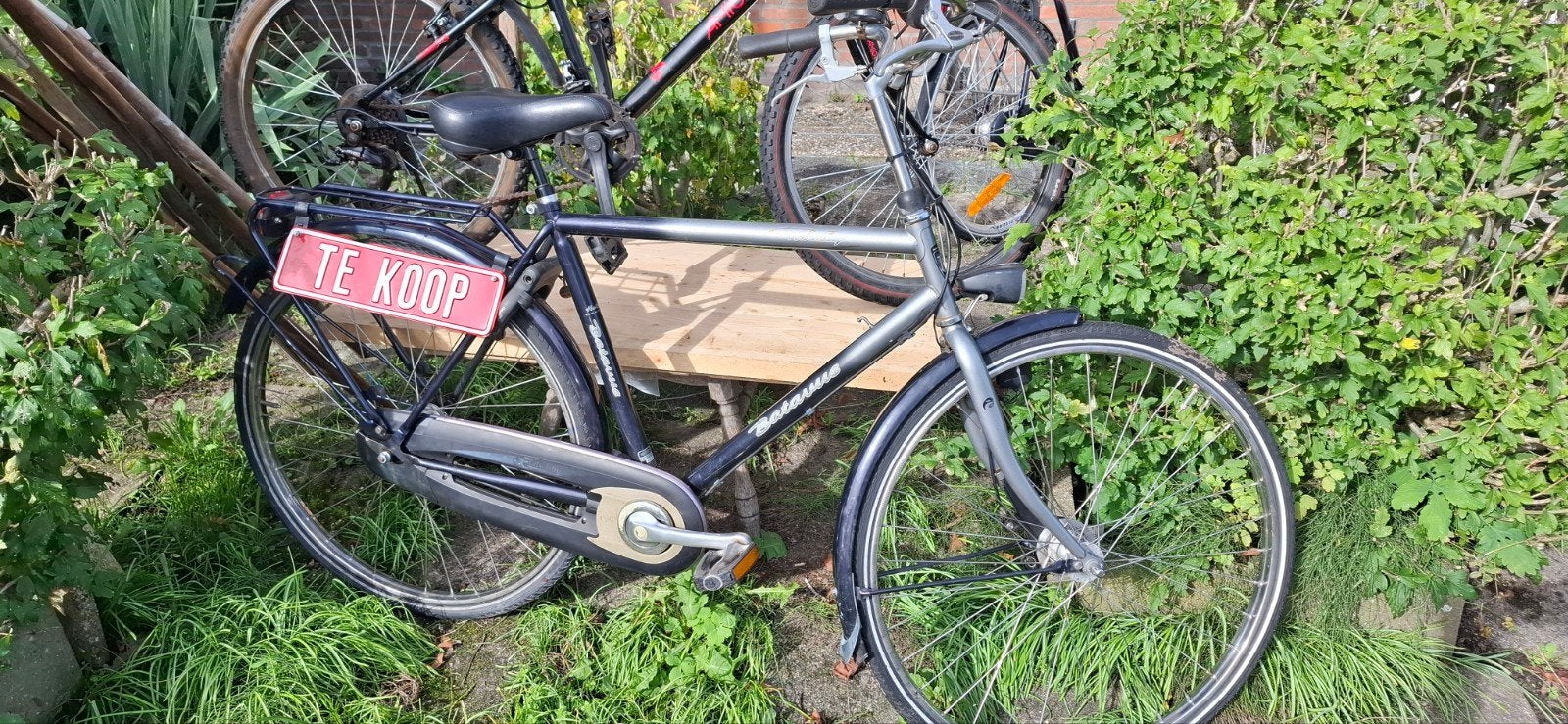 Herenfiets Batavus, 53 tot 57 cm, Ophalen, Gebruikt, Batavus