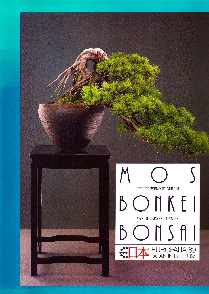 Mos Bonkei Bonsai - Jan Rammeloo / 9782871260127, Ophalen of Verzenden, Zo goed als nieuw, Jan Rammeloo, Tuinontwerpen