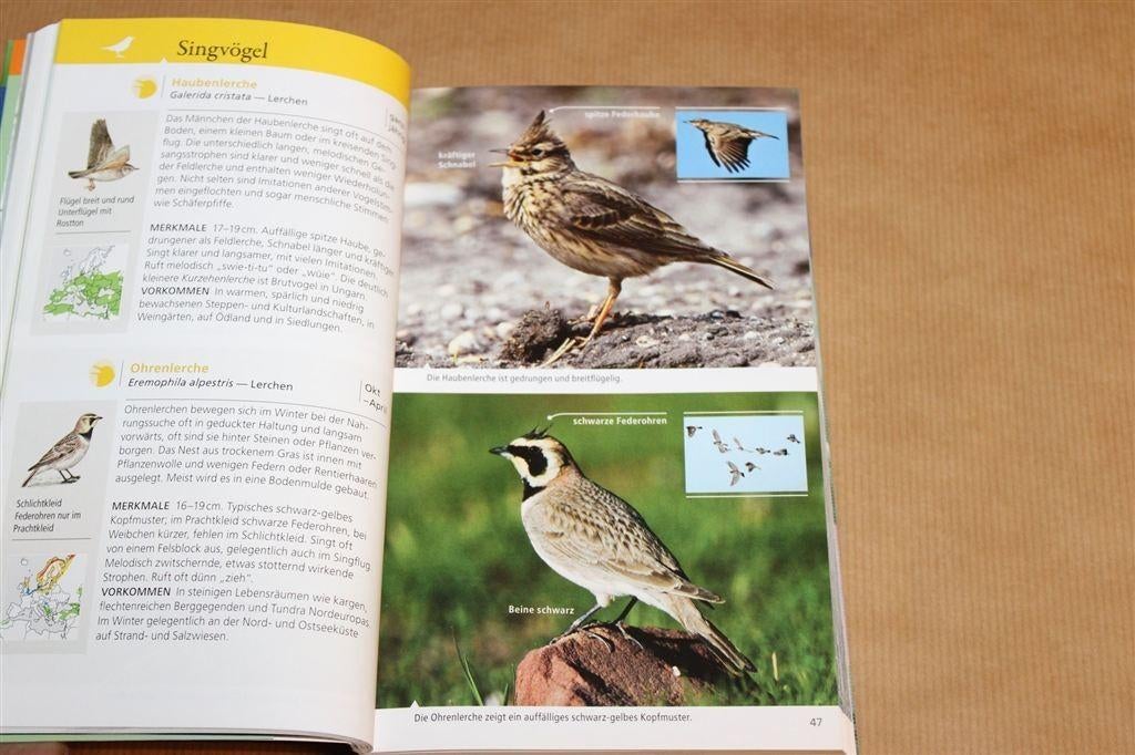 Wat Vliegt Daar? — Het Fotoboek [Duitsland], Ophalen of Verzenden, Gelezen, Paarden of Pony's