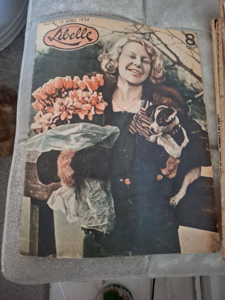 Libelle Weekblad - 13 april 1934 - Vintage Magazine, Ophalen of Verzenden, Gelezen, Damesbladen