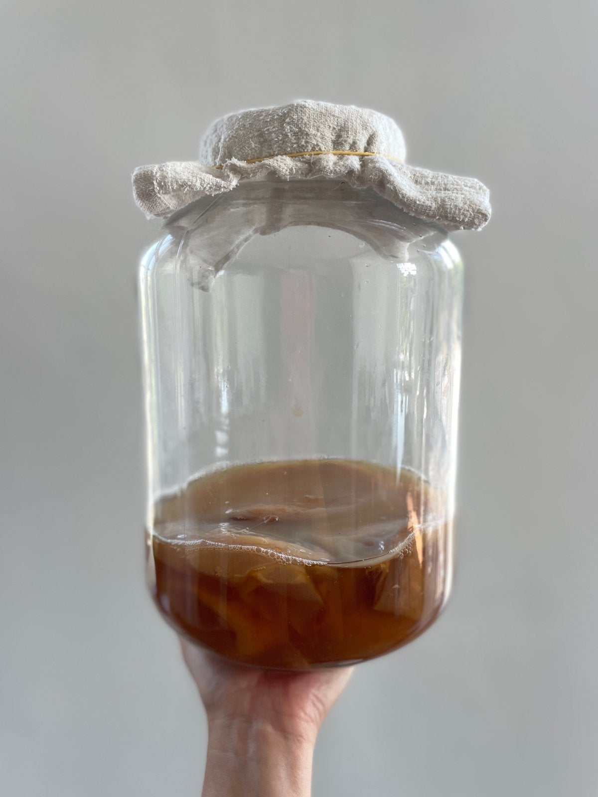 Kombucha scoby (bio zwam + vloeistof), Diversen, Ophalen
