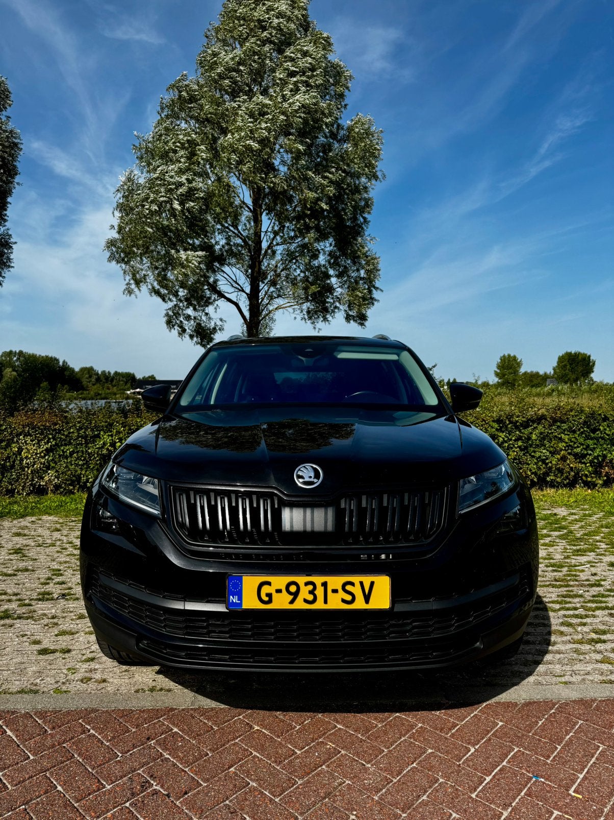 Skoda Kodiaq 1.5 TSI Limited Business Edition 150pk Dsg-7, Zwart, 4 cilinders, 150 pk, Zwart