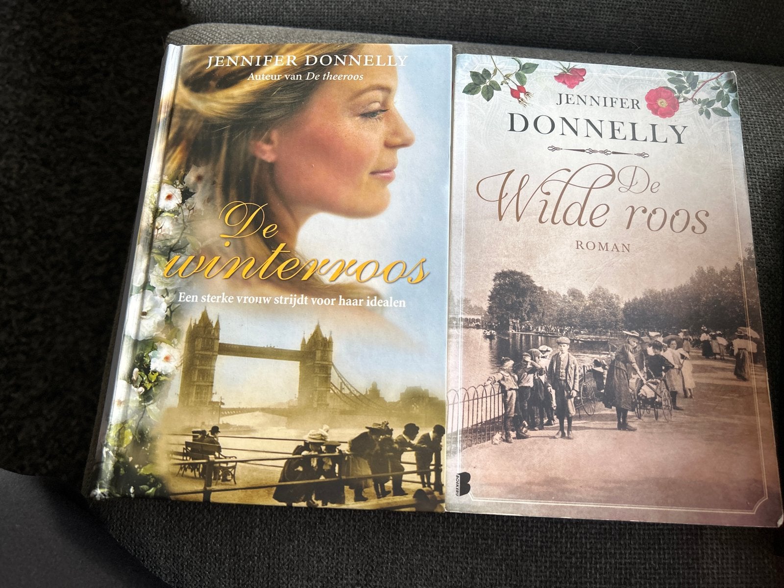 Twee boeken van Jennifer Donnelly: De Winterroos & De Wilde, Ophalen of Verzenden, Gelezen